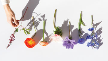 006 405 Home Spring 21