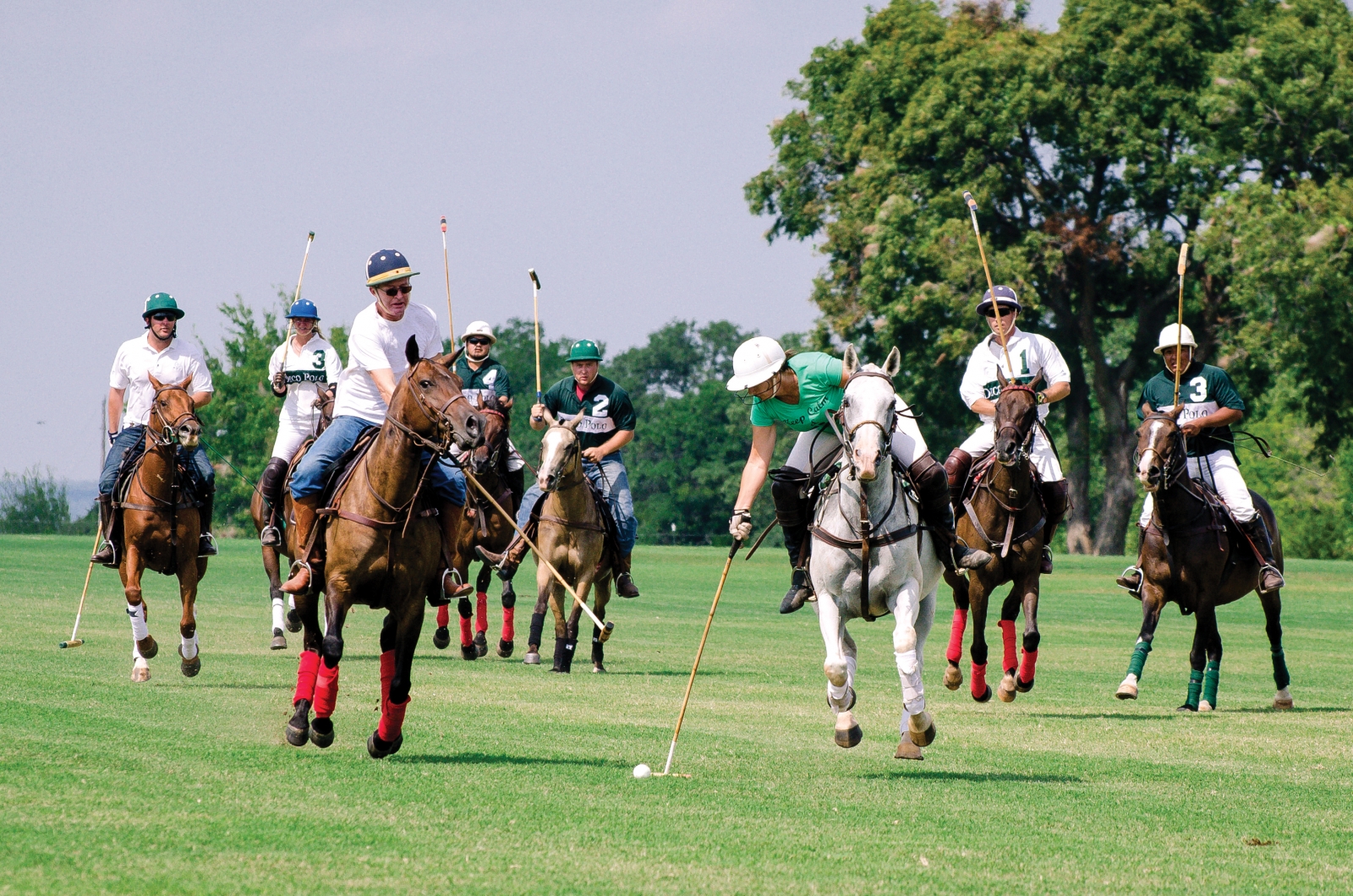 Photo by Michelle Lavasque