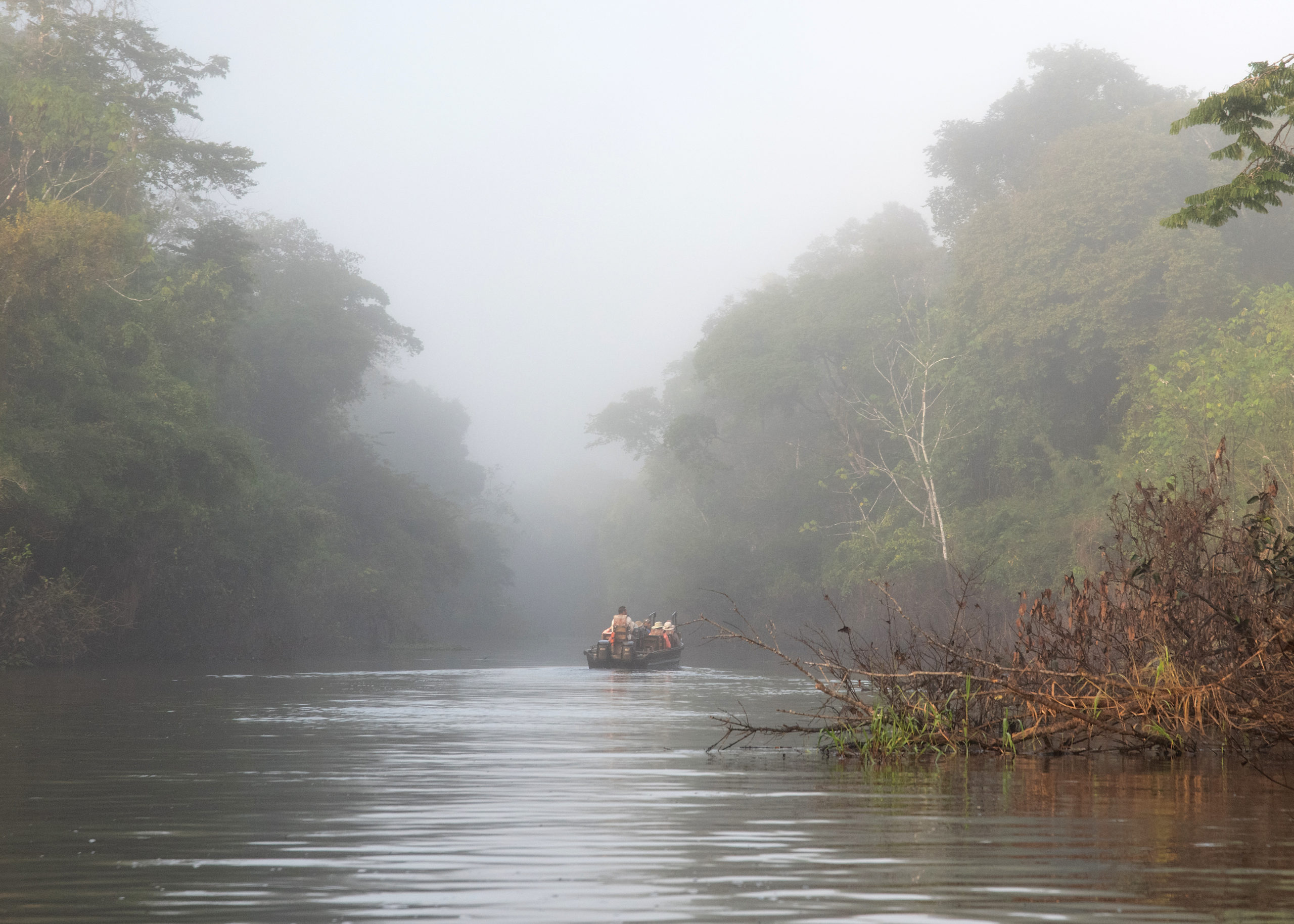 LP Amazons Amazons AMAZ0006 FICTION 未開封 /00260 Exploring the Amazon