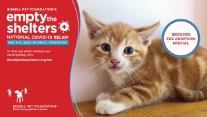 2020etsmaycoronapressgraphic