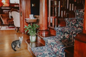 405 Grandison Rachelwaters 7