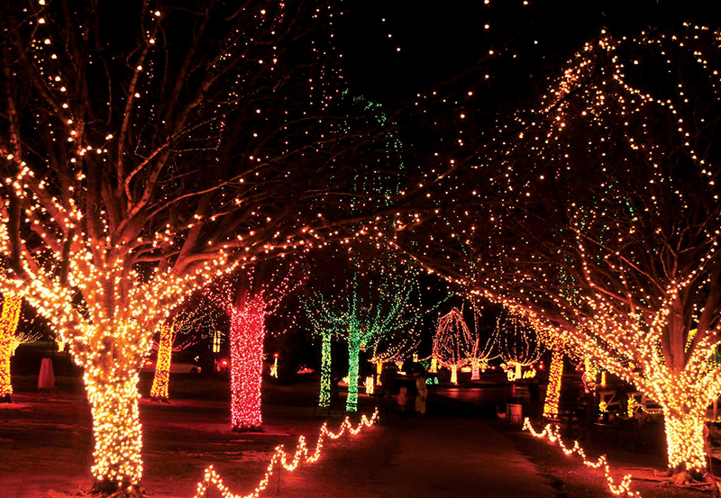 Christmas lights courtesy Chickasha Festival of Lights