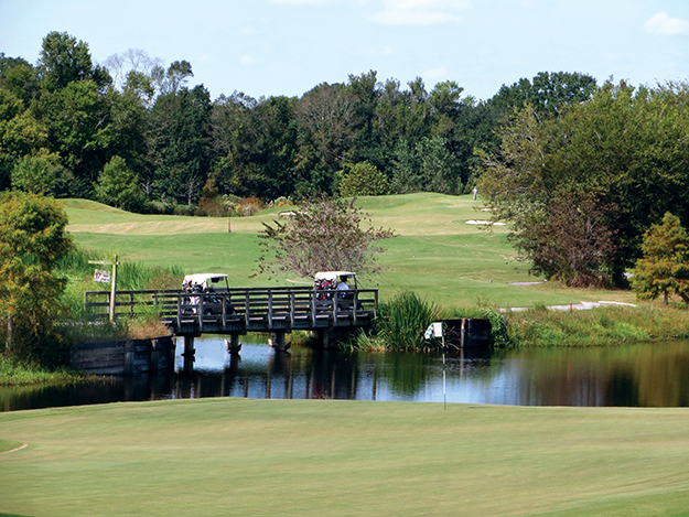 To qualify as an Audubon course, Atchafalaya at Idlewild was designed to preserve natural vegetation and protect wildlife.