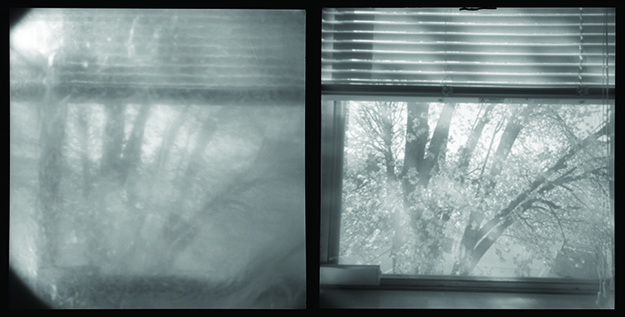 Photos courtesy Zach burns