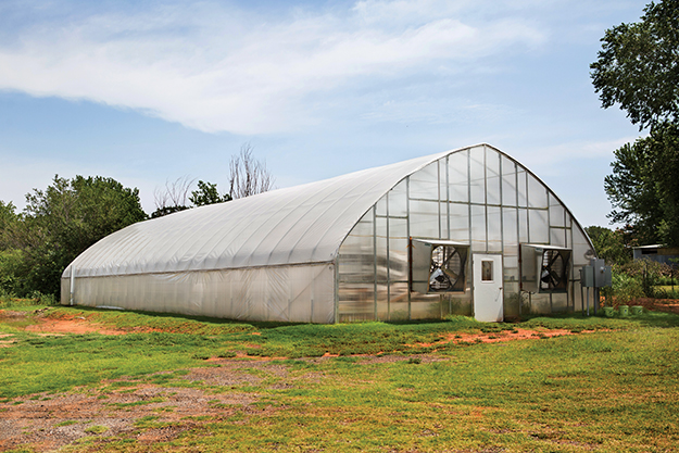 Upward Harvest's 3,400-square-foot greenhouse. 