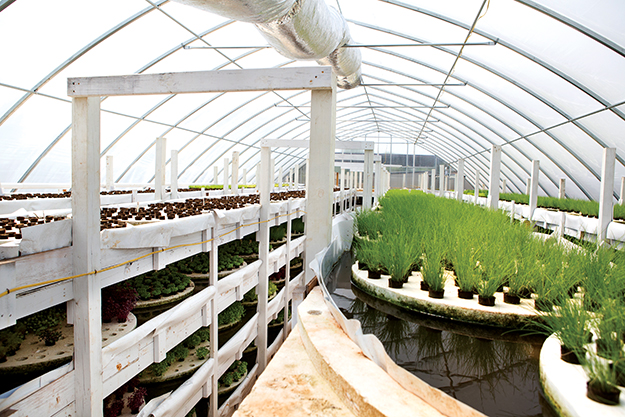 Upward Harvest facilities