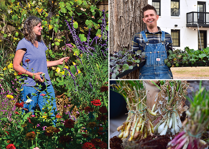Paul Mays (top right) has his hands full with tending the SixTwelve garden; Lia Woods (left) walks the grounds of Guilford Gardens harvesting flowers.