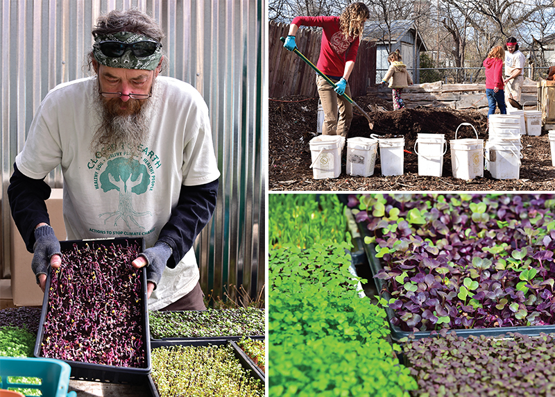 (clockwise from left) Allen Parlier of CommonWealth Urban Farms prepares trays of sprouts and microgreens; neighbors come together on a Saturday at CommonWealth to help prepare compost for the new season; microgreens for sale at a local farmer’s market