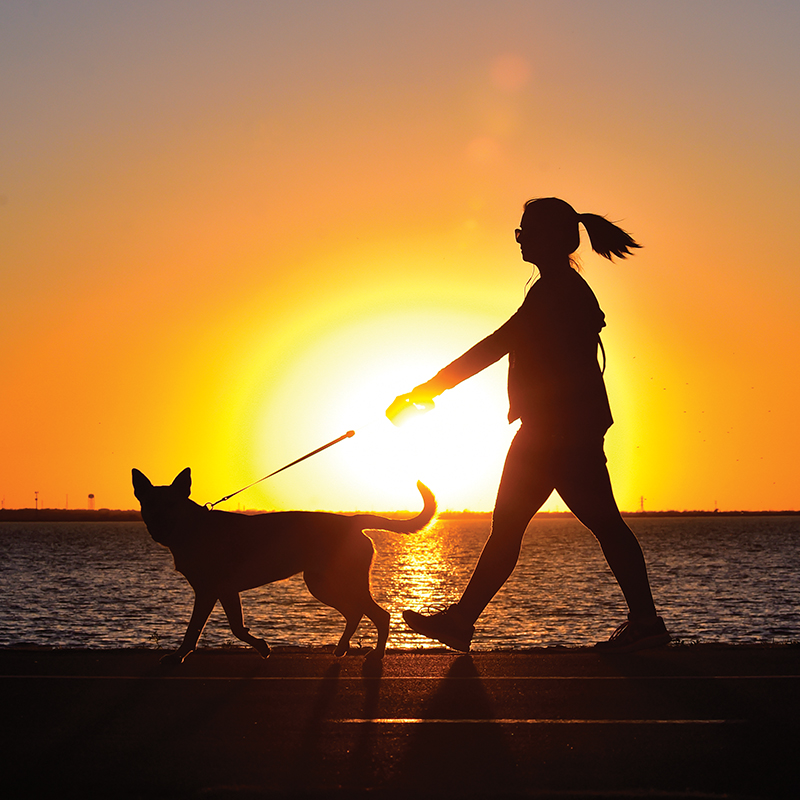 Lake Hefner is one of several prime metro destinations for running and biking trails.