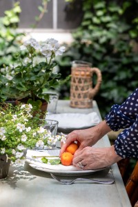 Julyentertaining Mvco 14