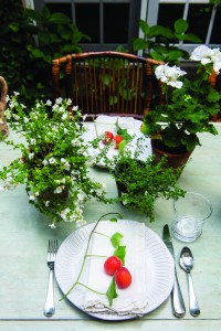 Julyentertaining Mvco 8