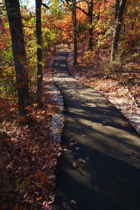 Keystone Ancient Forest 2 Mfuhr