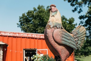 Lhp 405mag Chickenshack 25