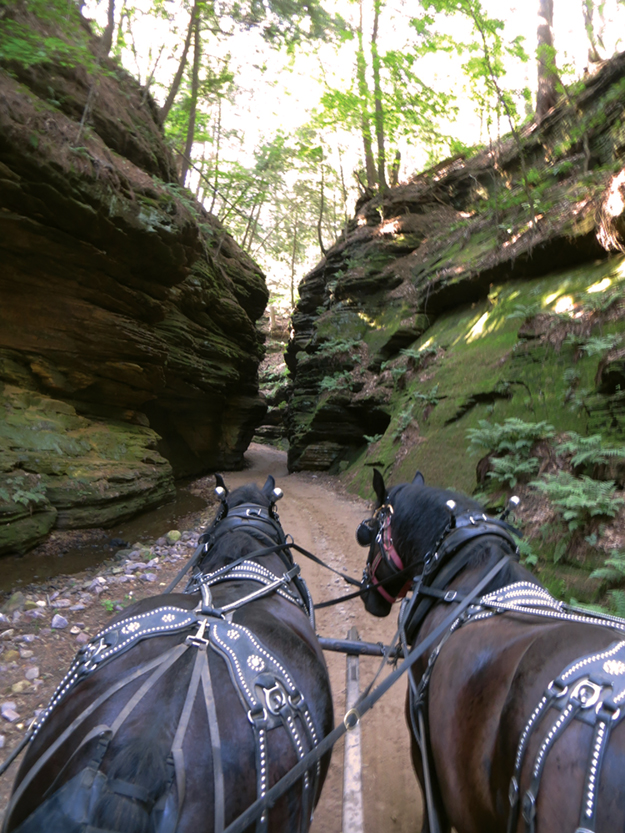 Visitors to Lost Canyon travel through narrow gorges barely wide enough for the wagons. Photo by Elaine Warner