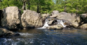 Lower Mountain Fork 2