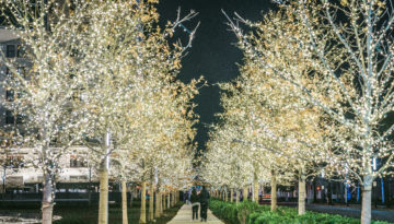 Myriad Gardens 2017 Nighttime 16