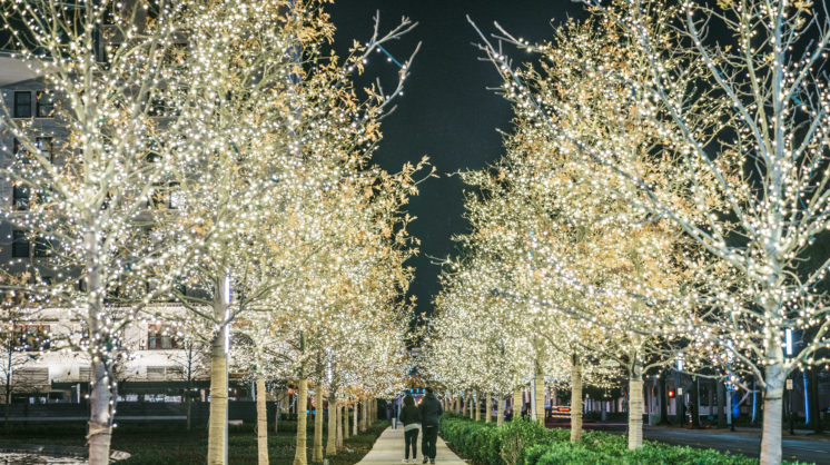 Myriad Gardens 2017 Nighttime 16