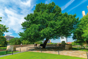 Screen Shot 2020 04 02 At 2.43.35 Pm