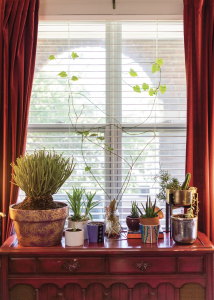 Screen Shot 2020 09 18 At 10.27.20 Am