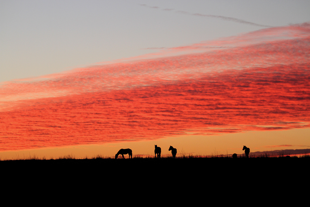 Winter corral, Osage County
