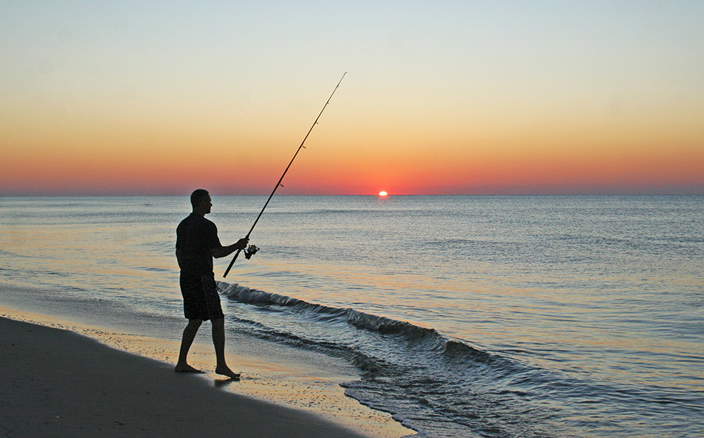 Apalachicola by Elaine Warner
