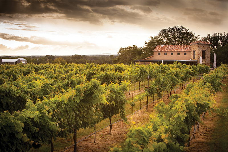 Grape Creek Vineyards brings a touch of Tuscany to the Texas Hill Country.