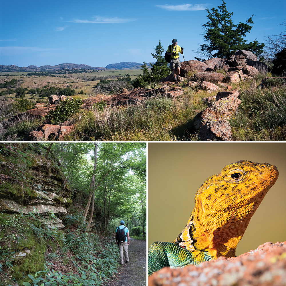 (clockwise from top) Wichita Wildlife Refuge // David Boren Hiking Trail