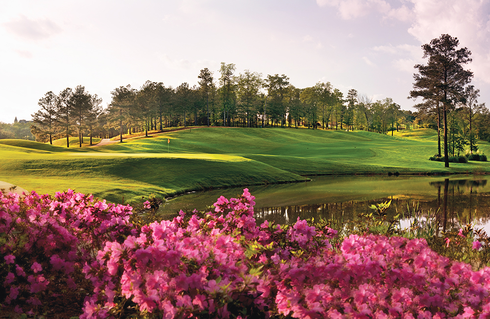 The No. 8 hole at the Ross Bridge course on the RTJ Trail