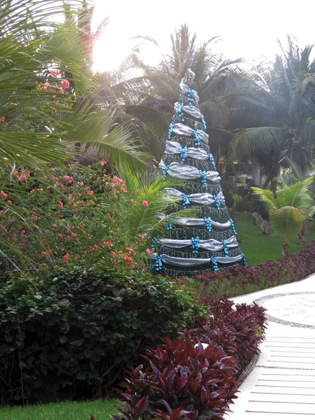 Christmas tree stands out among the palms. Christmas Tree by Elaine Warner