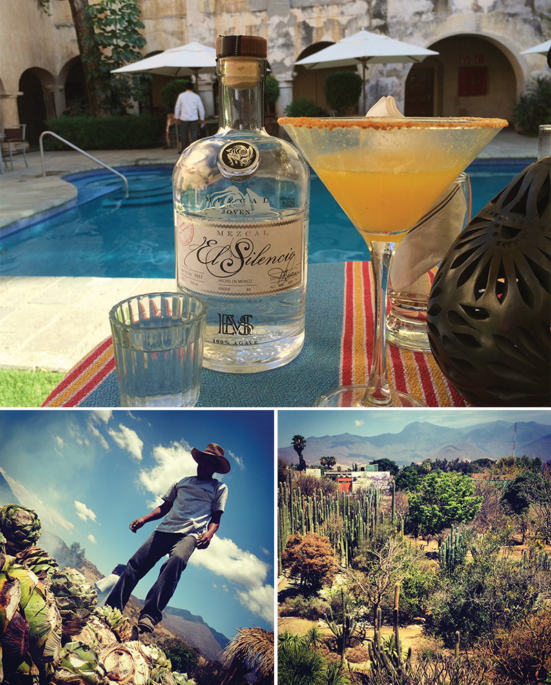 Clockwise from top: The finished product of the mezcal-making process is a drink worth showcasing. | Oaxaca’s arid climate nonetheless supports a variety of flora | Jimadors cut and cook agave plants to begin the distillation process.