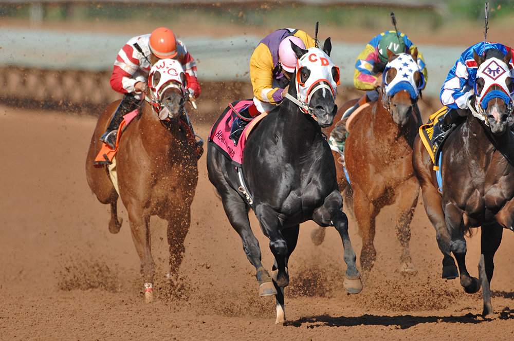 Ruidoso Downs hosts live racing from May into September. Photo courtesy Ruidoso Chamber of Commerce