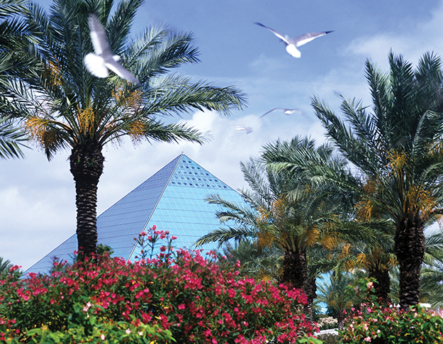 Pyramid through palms: the Aquarium Pyramid at Moody Gardens houses life from four distinct ocean environments.