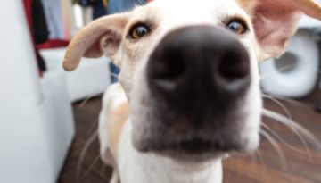 Agatha D1yh6 Oqjcm Unsplash
