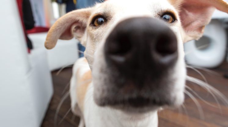 Agatha D1yh6 Oqjcm Unsplash