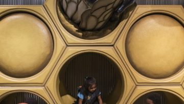 Backyard Bugs Slider 06.17