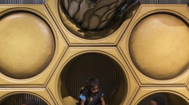 Backyard Bugs Slider 06.17