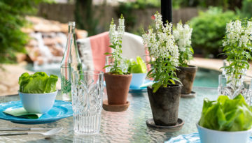 Dining Al Fresco