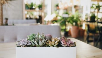 Processed With Vsco With A6 Preset