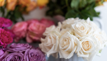 Screen Shot 2021 02 08 At 113402 Am