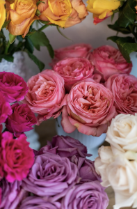 Screen Shot 2021 02 08 At 113431 Am