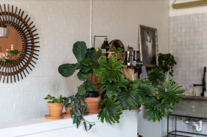 Screen Shot 2021 02 15 At 40219 Pm