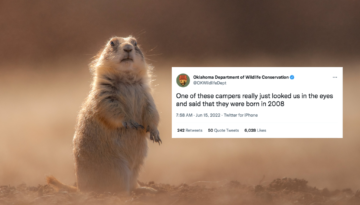 A prairie dog stands still on the red dirt. Next to it is a tweet from the OK Department of Wildlife Conservation that reads, "One of these campers really just looked us in the eyes and said they were born in 2008."