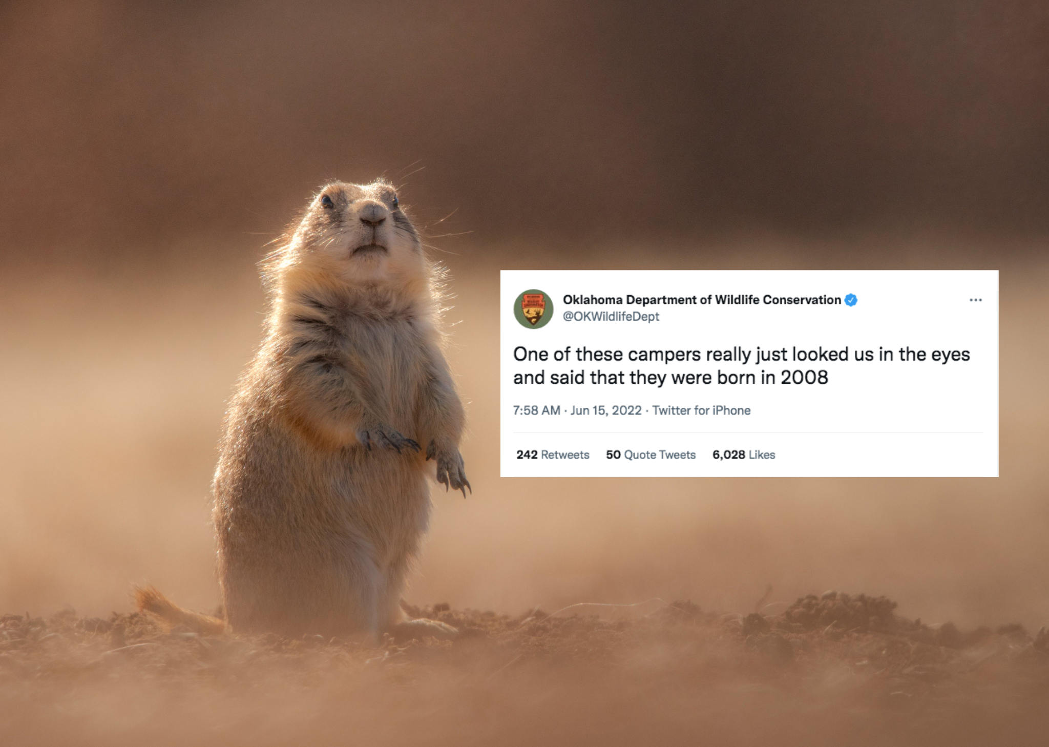 Behind Oklahoma Wildlife's Viral, Silly Social Media - 405 Magazine