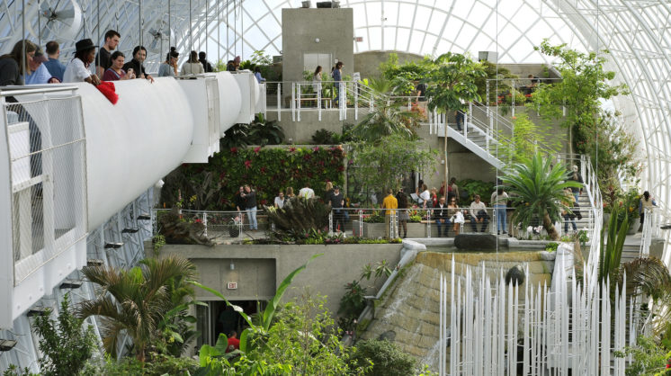 Myriad Botanical Gardens Reopens Its Iconic Crystal Bridge - 405