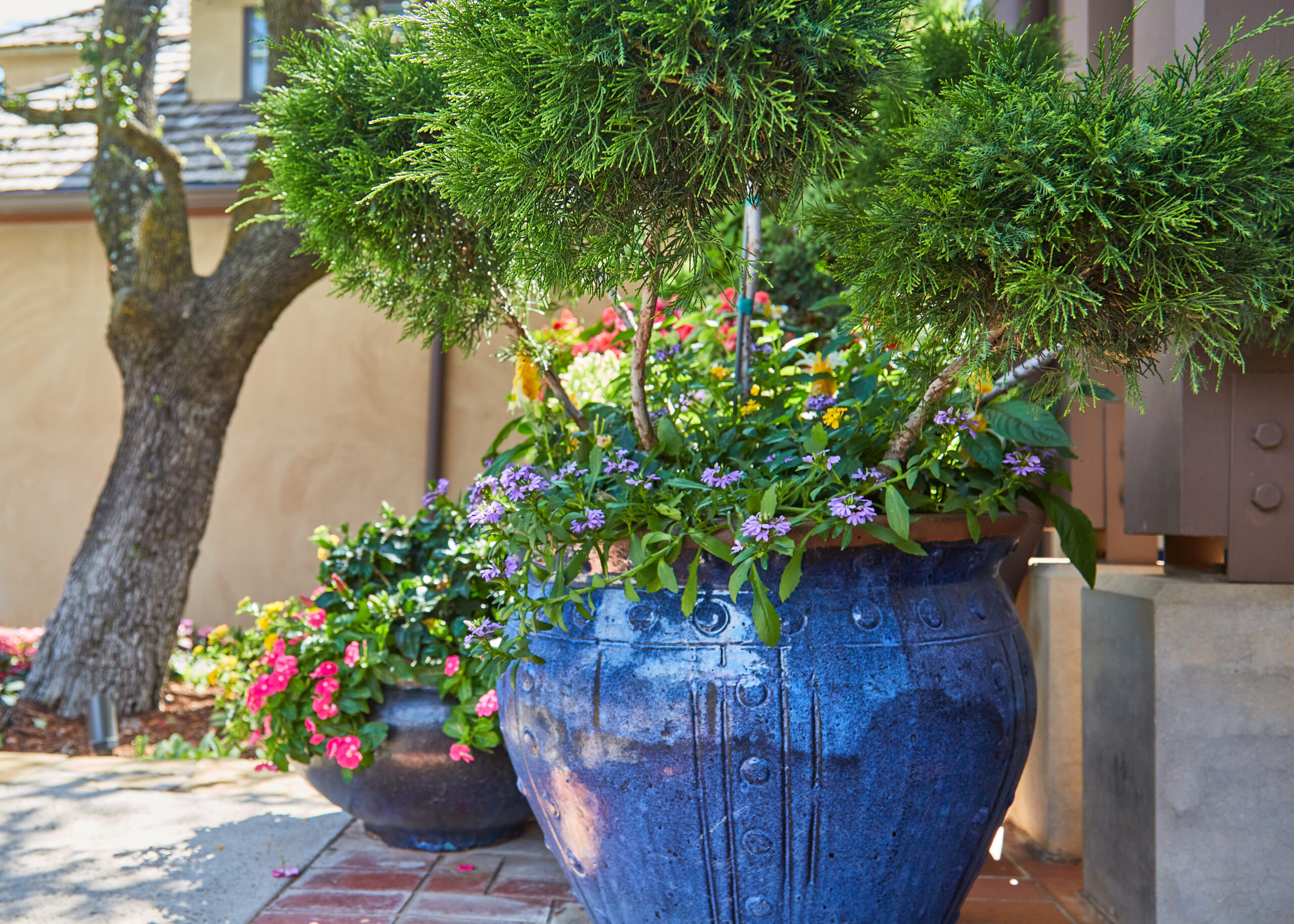 Nichols Hills Garden 405 Home