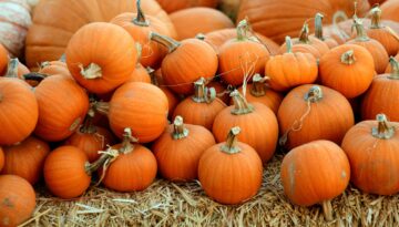 Pumpkins for Fall