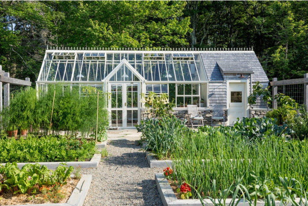 Greenhouse in the summer