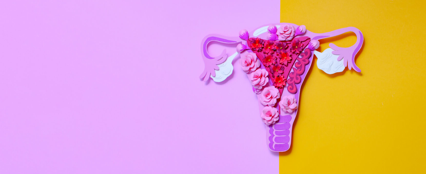 a photo of a uterus outlines in flowers