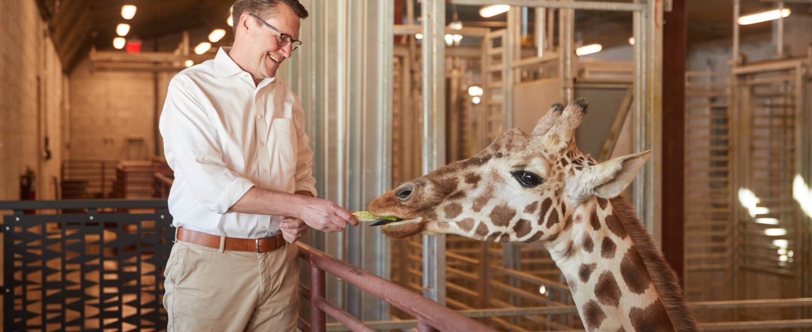 Dr. Dwight Lawson feeding giraffes at the Oklahoma City Zoo's New Exhibit: Expedition Africa. Photographed by Charlie Neuenschwander.