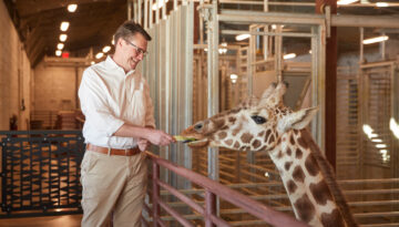 Dr. Dwight Lawson feeding giraffes at the Oklahoma City Zoo's New Exhibit: Expedition Africa. Photographed by Charlie Neuenschwander.